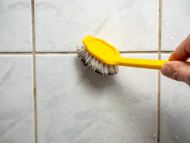 Yoakum, TX Mold Remediation Company