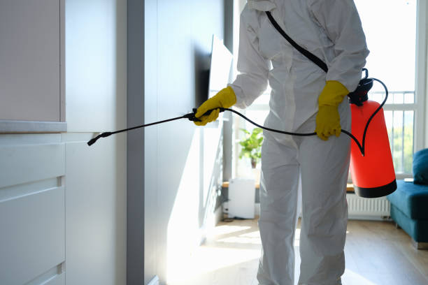 Best Residential Mold Remediation in Yoakum, TX